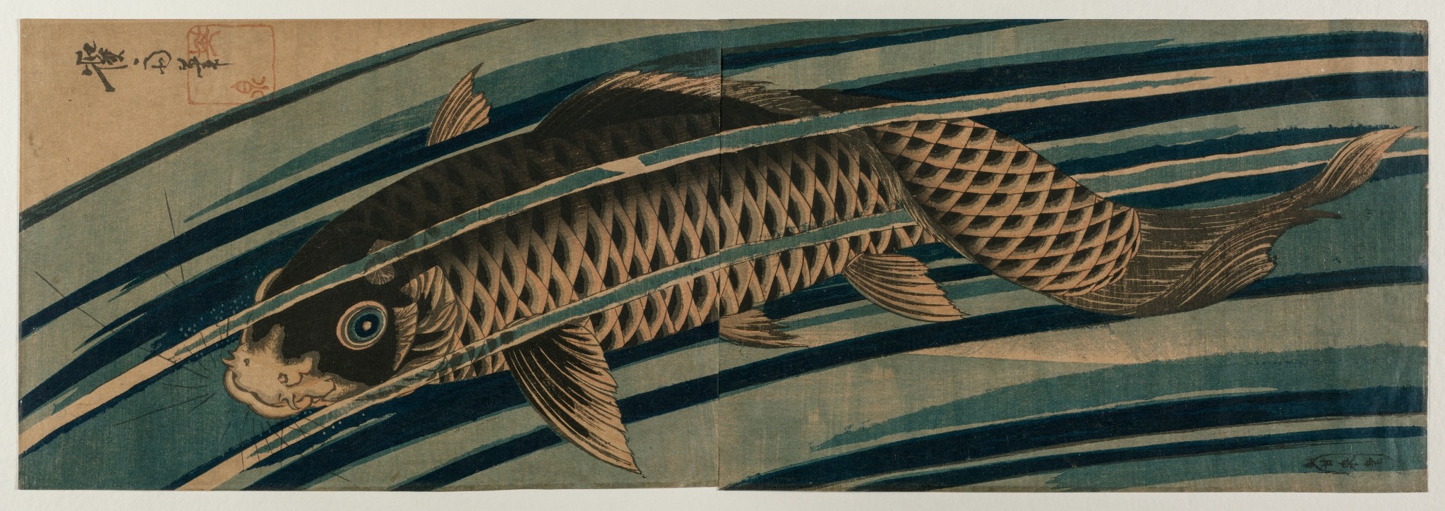 Artwork: Carp